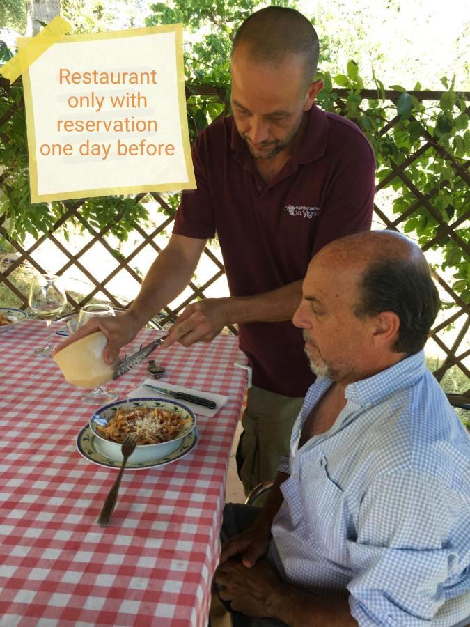 Agriturismo "Crocino In Chianti" Джайоле ин Кианти Екстериор снимка