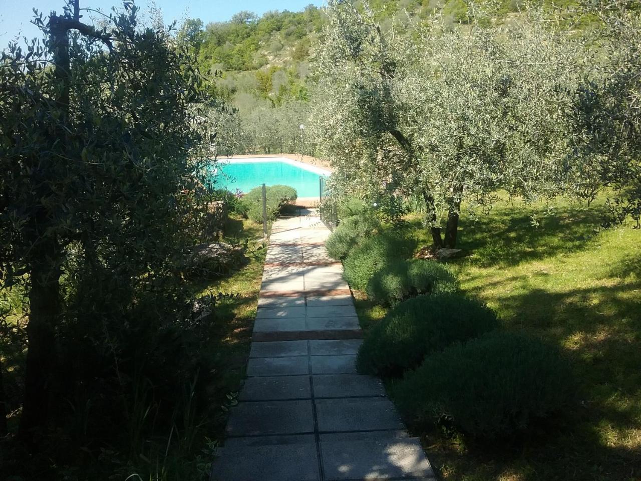 Agriturismo "Crocino In Chianti" Джайоле ин Кианти Екстериор снимка