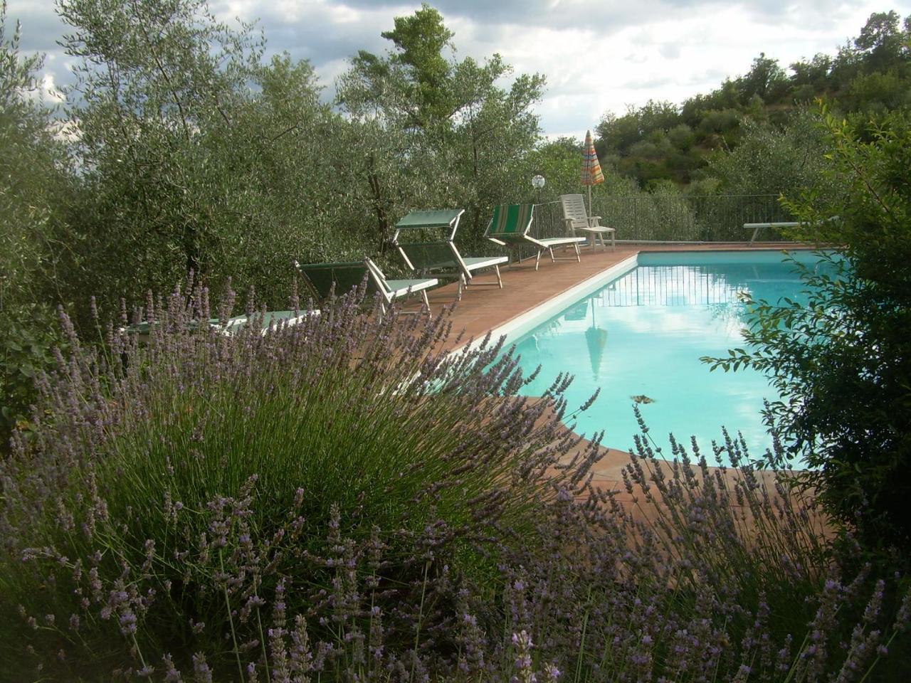Agriturismo "Crocino In Chianti" Джайоле ин Кианти Екстериор снимка