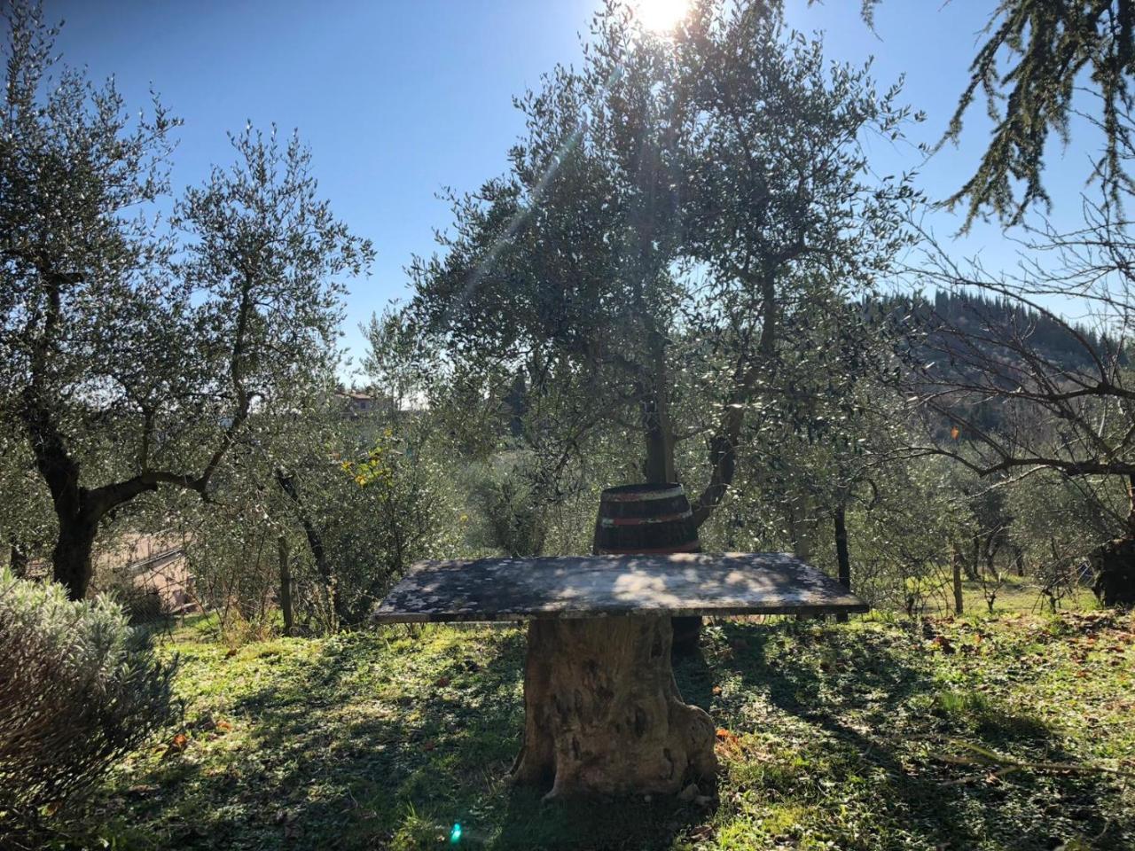 Agriturismo "Crocino In Chianti" Джайоле ин Кианти Екстериор снимка