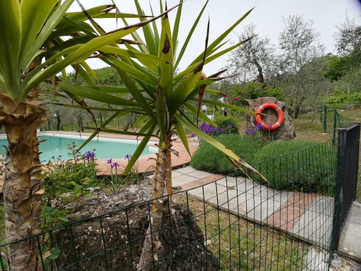 Agriturismo "Crocino In Chianti" Джайоле ин Кианти Екстериор снимка