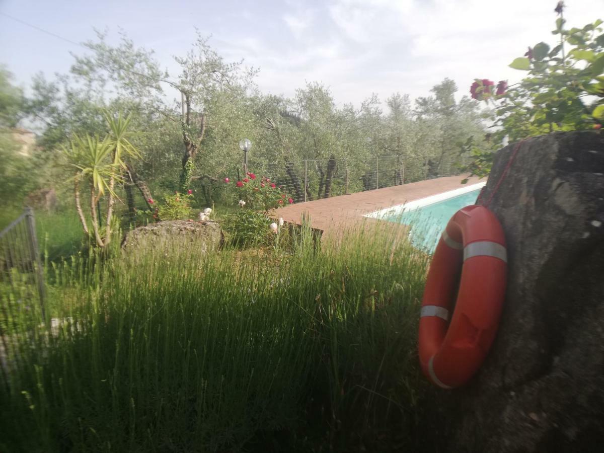 Agriturismo "Crocino In Chianti" Джайоле ин Кианти Екстериор снимка